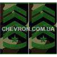 Погоны МО вышитые муфта старший прапорщик