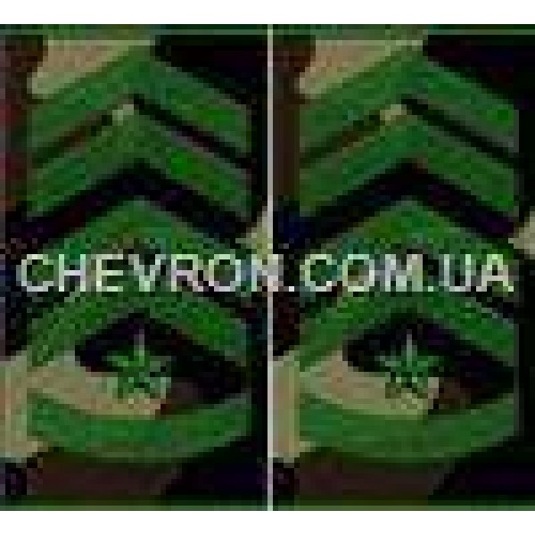 Погоны МО вышитые муфта старший прапорщик - 3443143