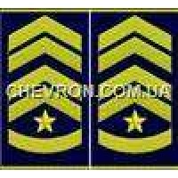 Погоны ВВС вышитые муфта старший прапорщик