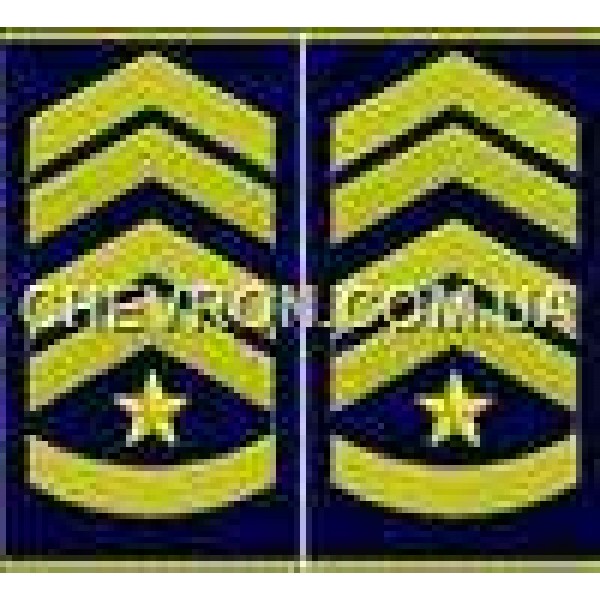 Погоны ВВС вышитые муфта старший прапорщик - 3443145