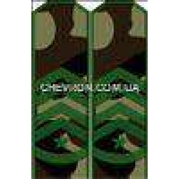 Погоны МО вышитые старший прапорщик - 3443146