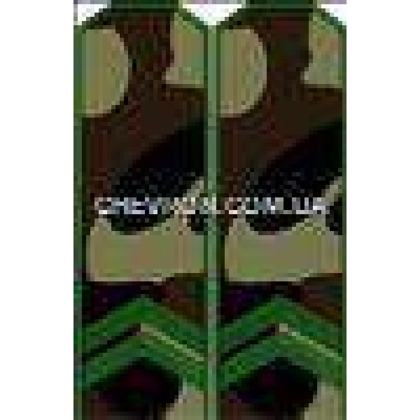 Погоны МО младший сержант - 3443147