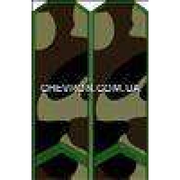 Погоны МО ефрейтор - 3443149