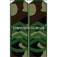 Погони МО вишиті прапорщик