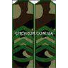 Погоны МО вышитые прапорщик