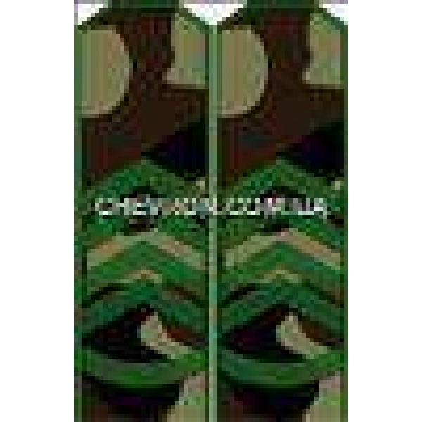 Погоны МО вышитые прапорщик - 3443150