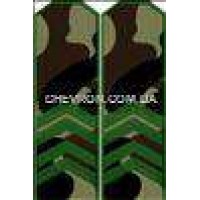 Погоны МО вышитые старший сержант