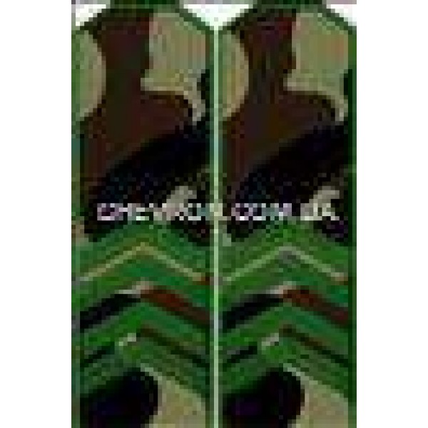 Погоны МО вышитые старший сержант - 3443151