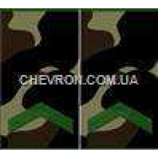 Погоны МО вышитые муфта ефрейтор