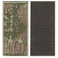 Погони МО липучка вишиті лейтенант основа варан