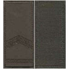 Погони МО липучка вишиті прапорщик основа олива нові