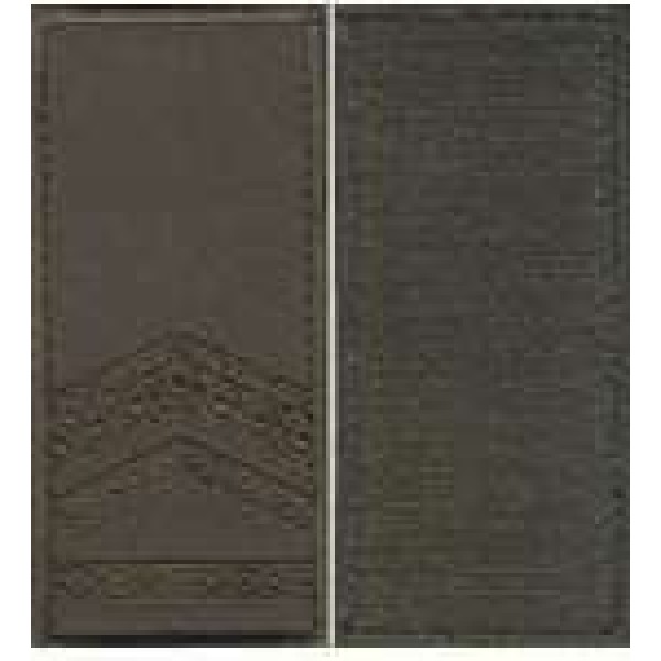 Погони МО липучка вишиті старший прапорщик основа олива нові - 3443176