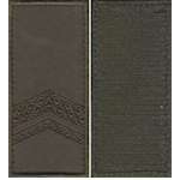 Погони МО липучка вишиті старшина основа олива нові - 3443184