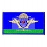 Нагрудна Нашивка дмб Аеромобильные війська 95 бригада)