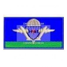 Нашивка нагрудна дмб Аеромобильные войска 95 бригада)