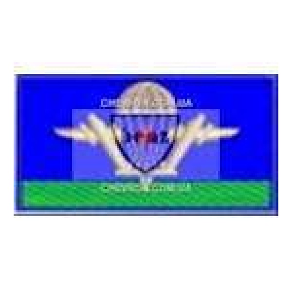 Нашивка нагрудна дмб Аеромобильные войска 95 бригада) - 3443240