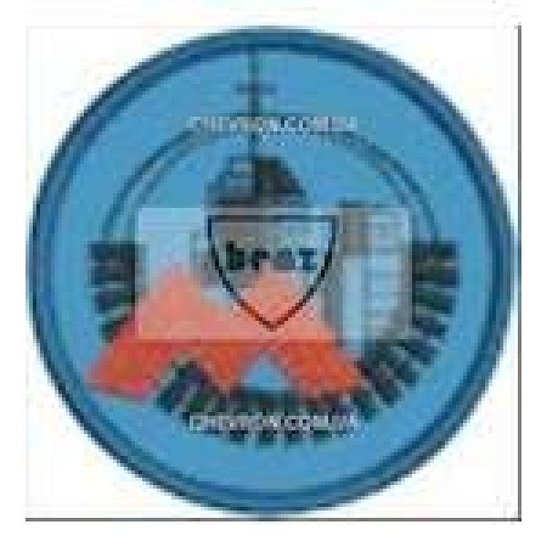 Нагрудна Нашивка - 3443242