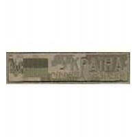 Нашивка нагрудная Служба безпеки Україна украинский пиксель