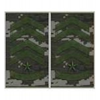 Погони муфта вишиті європейського зразка старший прапорщик основа прикордонний піксель