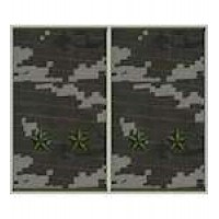 Погоны муфта вышитые лейтенант основа пограничный пиксель