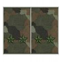 Погони муфта вишиті підполковник основа бундес