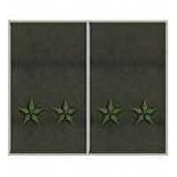 Погони муфта вишиті підполковник основа олива