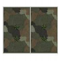 Погоны муфта вышитые прапорщик основа бундес