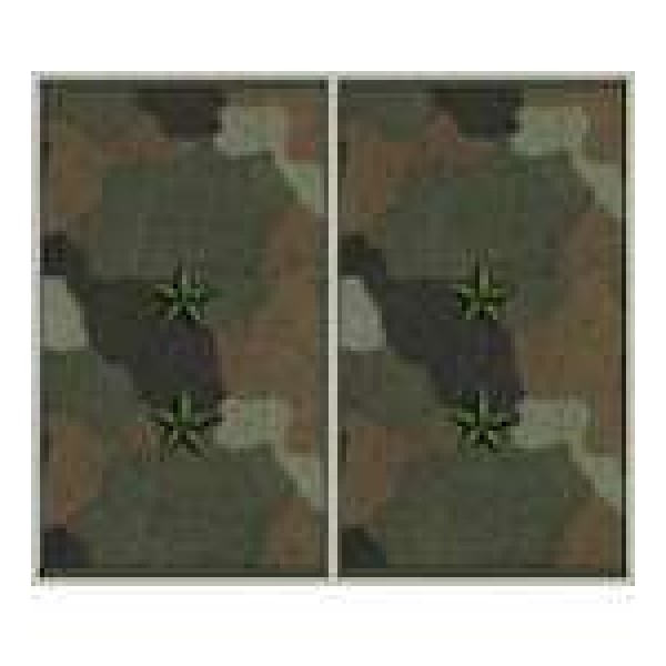 Погоны муфта вышитые прапорщик основа бундес - 3443299