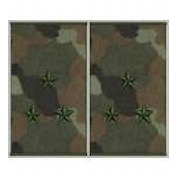 Погони муфта вишиті старший лейтенант основа бундес