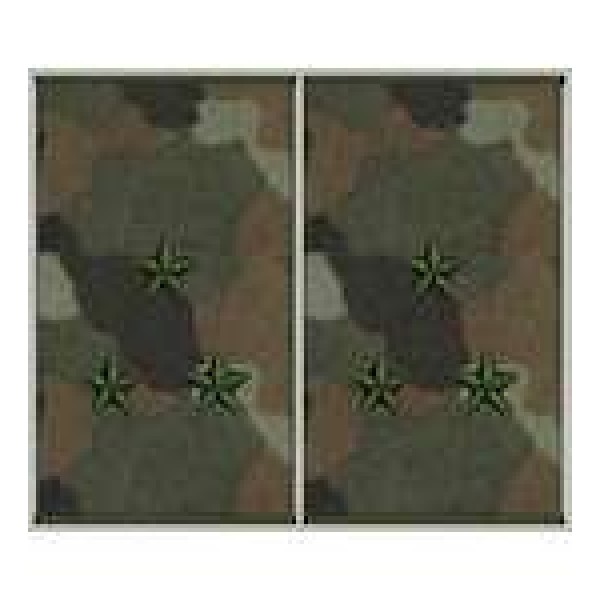 Погоны муфта вышитые старший лейтенант основа бундес - 3443311