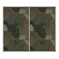 Погоны муфта вышитые старший прапорщик основа бундес