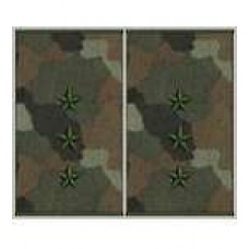 Погони муфта вишиті старший прапорщик основа бундес