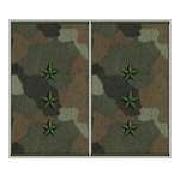 Погоны муфта вышитые старший прапорщик основа бундес - 3443315