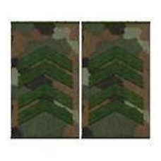 Погони муфта європейського зразка старший сержант основа бундес