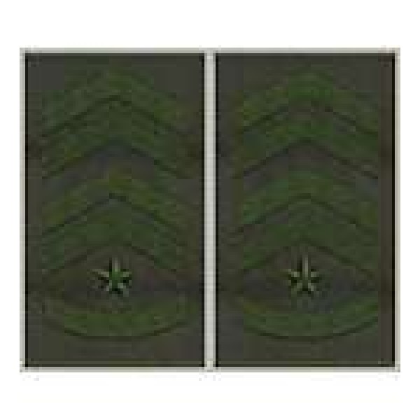 Погони муфта європейського зразка старший прапорщик основа олива - 3443347