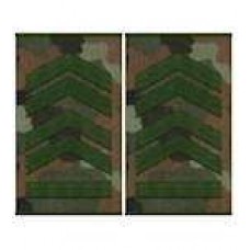 Погони муфта європейського зразка старшина основа бундес