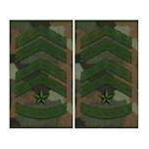 Погоны муфта европейского образца старший прапорщик основа бундес - 3443355