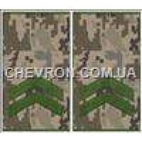 Погони МО муфта європейського зразка молодший сержант основа український піксель