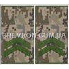 Погоны МО муфта европейского образца младший сержант основа украинский пиксель