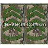 Погоны МО муфта европейского образца прапорщик основа украинский пиксель