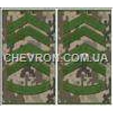 Погоны МО муфта европейского образца прапорщик основа украинский пиксель