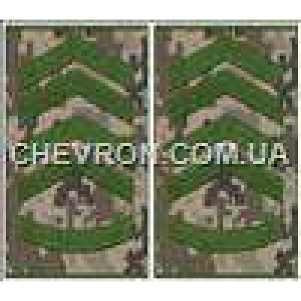 Погони МО муфта європейського зразка прапорщик основа український піксель - 3443372