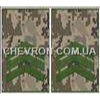 Погони МО муфта європейського зразка сержант основа український піксель