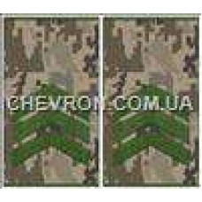 Погоны МО муфта европейского образца сержант основа украинский пиксель