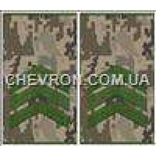 Погони МО муфта європейського зразка сержант основа український піксель - 3443373