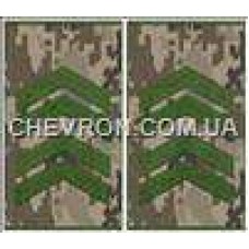 Погоны МО муфта европейского образца старший сержант основа украинский пиксель