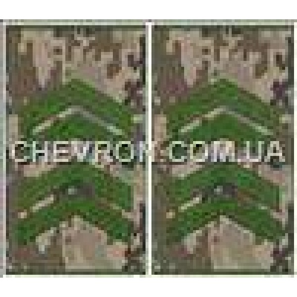 Погони МО муфта європейського зразка старший сержант основа український піксель - 3443375