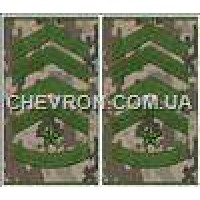 Погоны МО муфта европейского образца старший прапорщик основа украинский пиксель