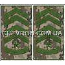 Погоны МО муфта европейского образца старший прапорщик основа украинский пиксель