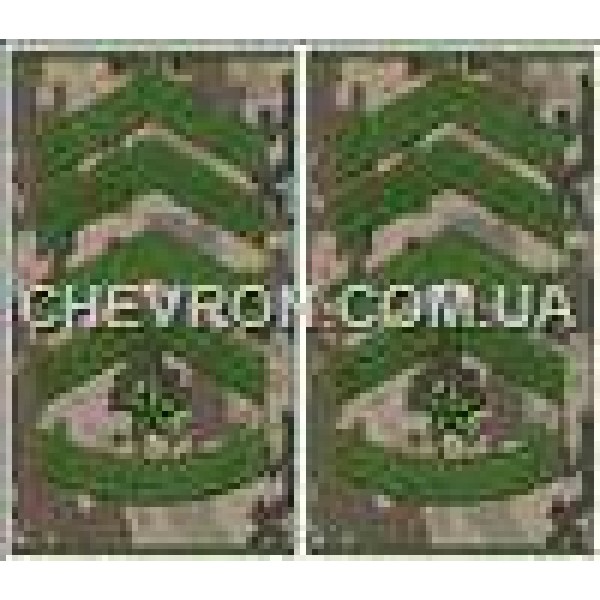 Погони МО муфта європейського зразка старший прапорщик основа український піксель - 3443376